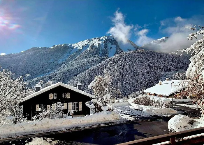 Charming Vintage Flat Near Slopes Διαμέρισμα *